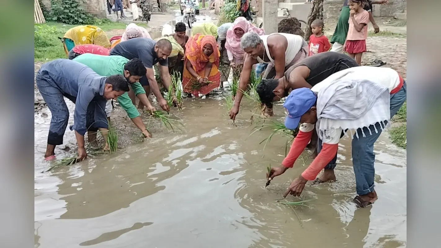 Jhanjharpur News: जलजमाव के विरोध में सड़क पर उतरे लोग, किया धान रोपण